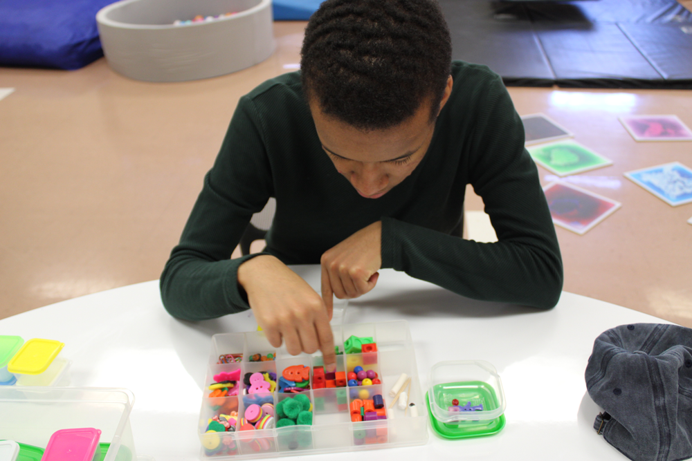 Work-Boxes student learning sorting